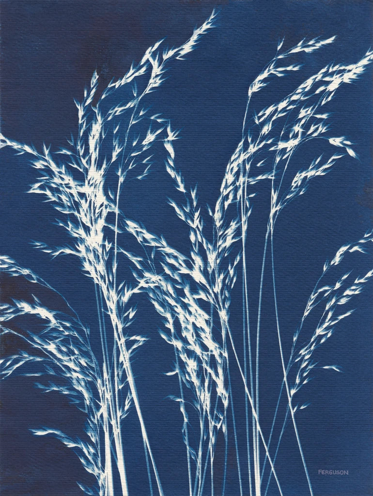 Ornamental Grass V by Kathy Ferguson