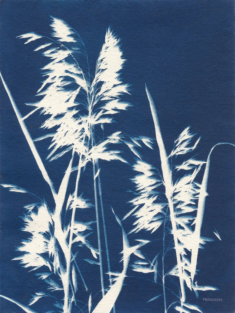 Ornamental Grass VI by Kathy Ferguson