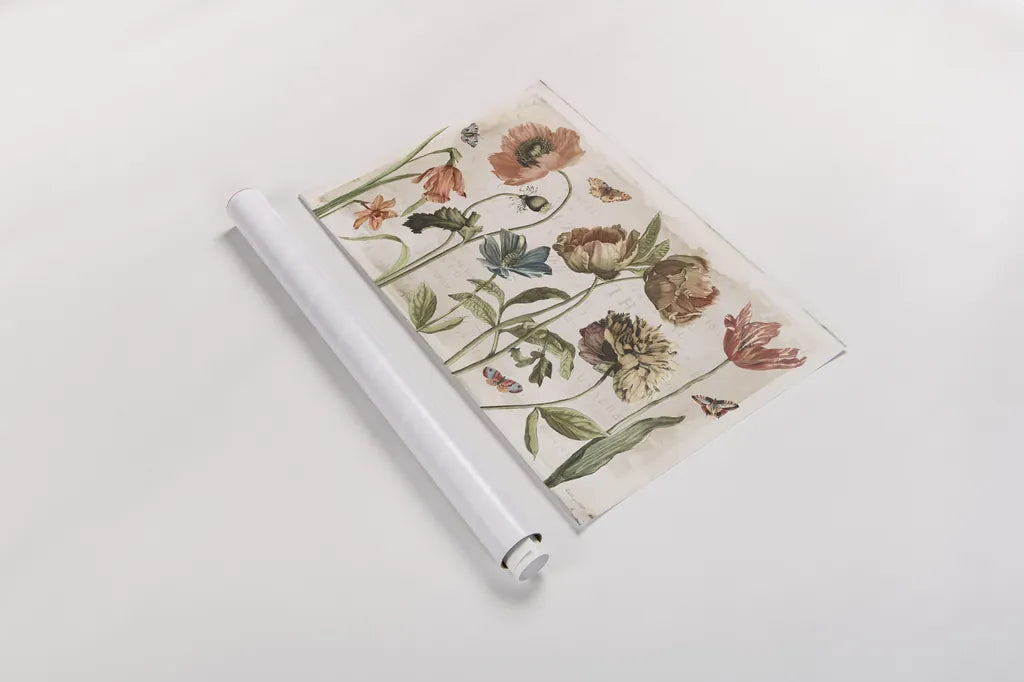 Antiquarian Blooms I by Katie Pertiet. shown as a rolled paper print. Available as archival giclee rolled canvas, fine art paper, or poster print. SKU 62240i.