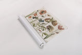 Antiquarian Blooms I by Katie Pertiet. shown as a rolled paper print. Available as archival giclee rolled canvas, fine art paper, or poster print. SKU 62240i.