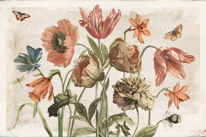 Antiquarian Blooms II by Katie Pertiet. SKU 62241i. Archival Giclee Fine art print for wall decor.