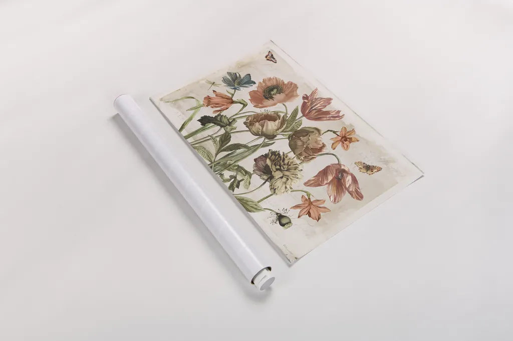 Antiquarian Blooms II by Katie Pertiet. shown as a rolled paper print. Available as archival giclee rolled canvas, fine art paper, or poster print. SKU 62241i.