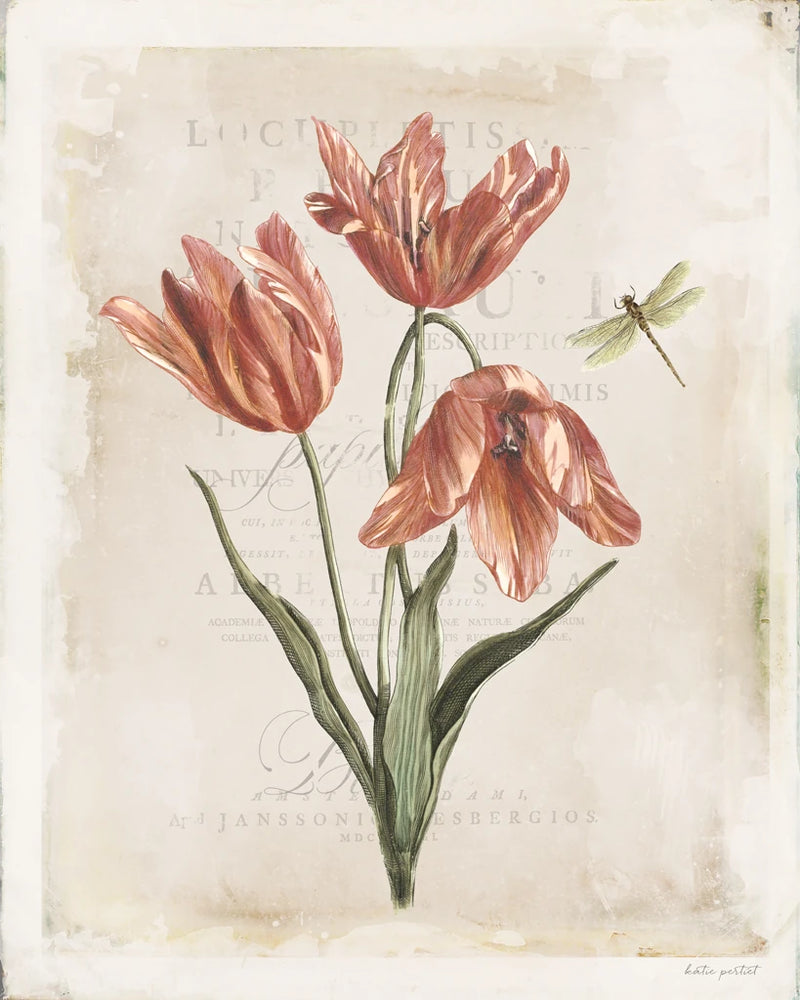Antiquarian Blooms III by Katie Pertiet
