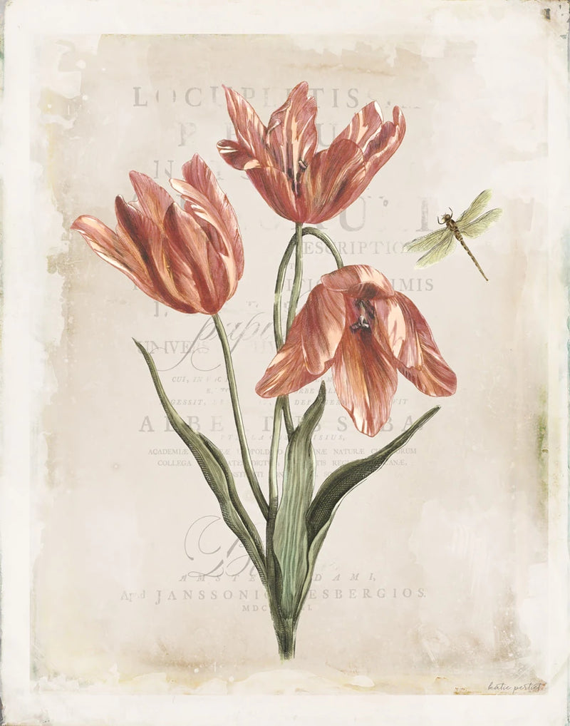 Antiquarian Blooms III by Katie Pertiet