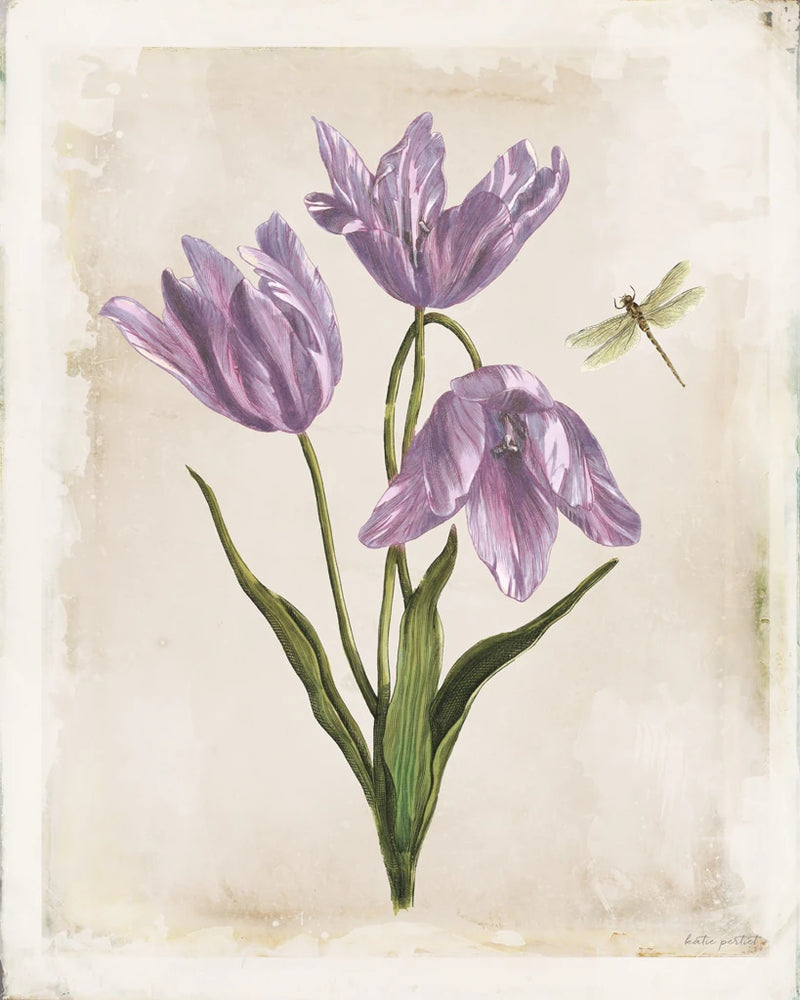 Antiquarian Blooms III Purple by Katie Pertiet