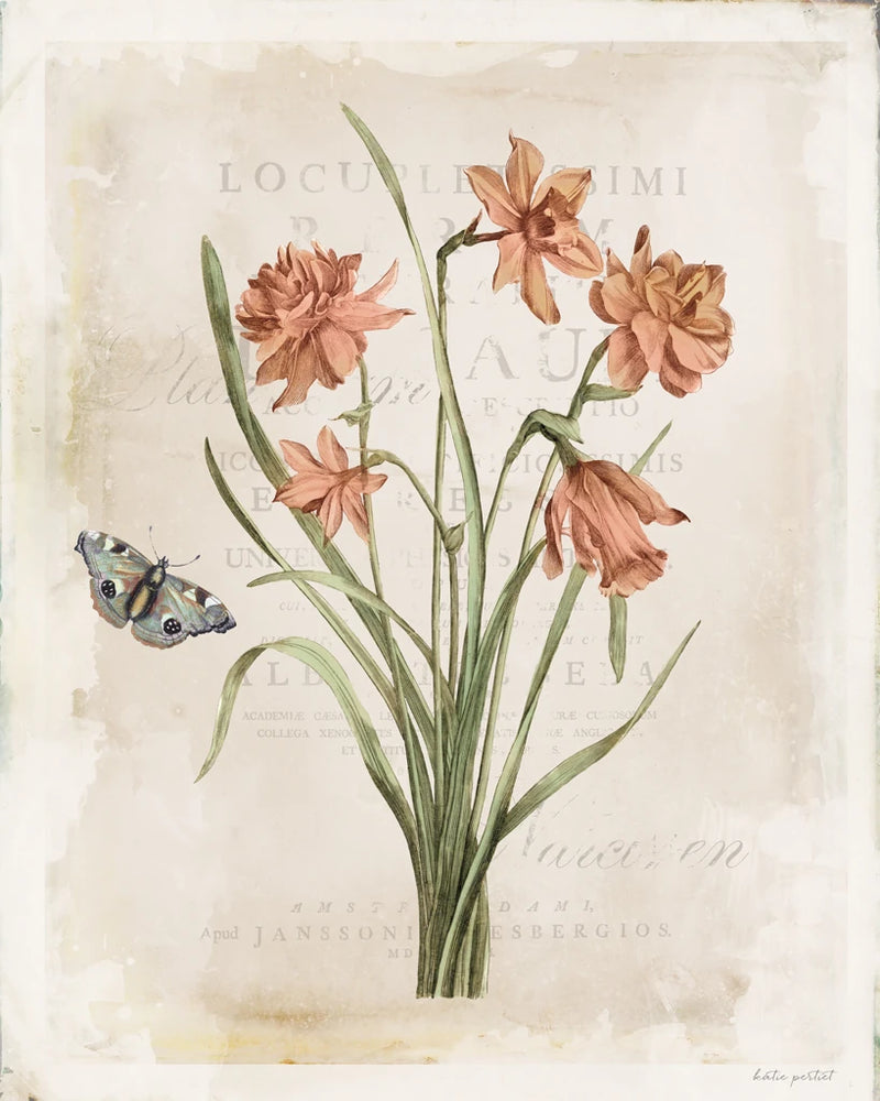 Antiquarian Blooms V by Katie Pertiet