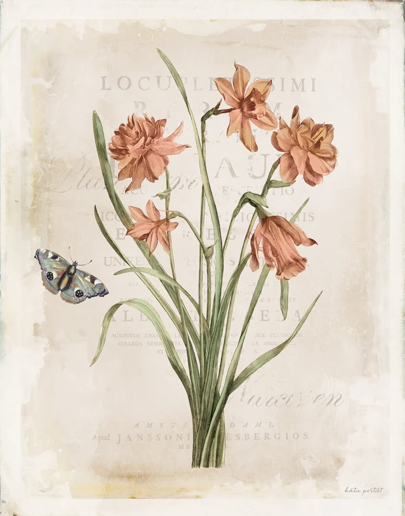 Antiquarian Blooms V by Katie Pertiet