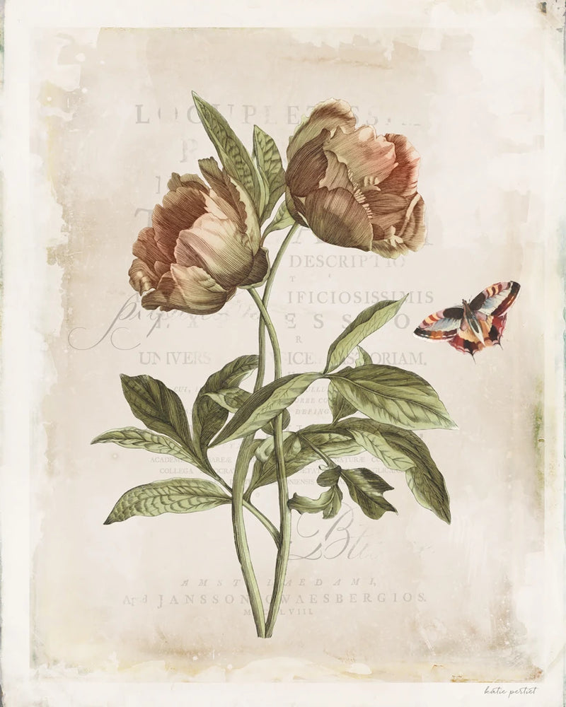Antiquarian Blooms VI by Katie Pertiet