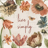 Antiquarian Blooms VII by Katie Pertiet. SKU 62246a. Archival Giclee Fine art print for wall decor.