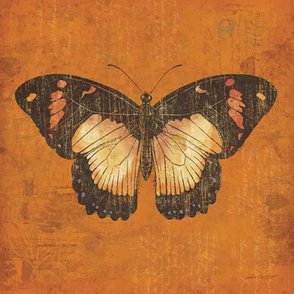 Apricot Butterfly by Katie Pertiet. SKU 5954a. Archival Giclee Fine art print for wall decor.