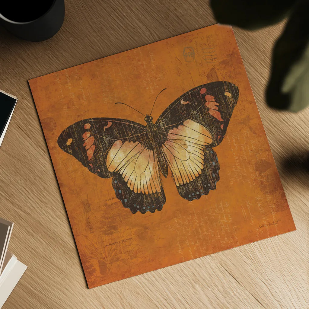 Apricot Butterfly by Katie Pertiet. Shown as a detailed flat fine art print, highlighting archival giclee quality. Available as an archival giclee rolled canvas, fine art paper, or poster print. SKU 5954a.