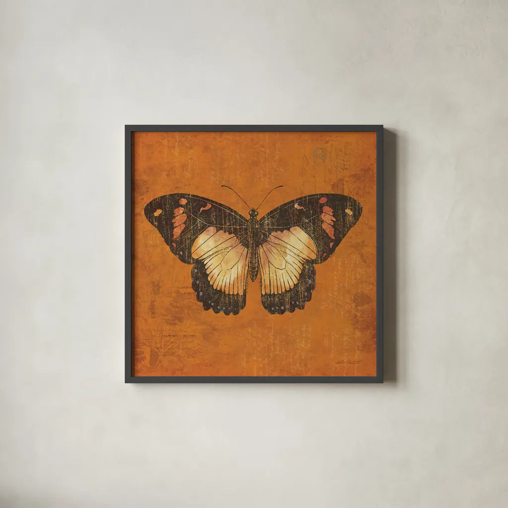 Apricot Butterfly by Katie Pertiet. Shown in a sleek black glass frame for a contemporary gallery look. Available as an archival giclee rolled canvas, fine art paper, or poster print. SKU 5954a.