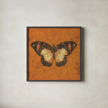 Apricot Butterfly by Katie Pertiet. Shown in a sleek black glass frame for a contemporary gallery look. Available as an archival giclee rolled canvas, fine art paper, or poster print. SKU 5954a.