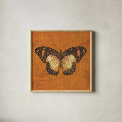 Apricot Butterfly by Katie Pertiet. Shown in a natural wood glass frame for a timeless modern aesthetic. Available as an archival giclee rolled canvas, fine art paper, or poster print. SKU 5954a.