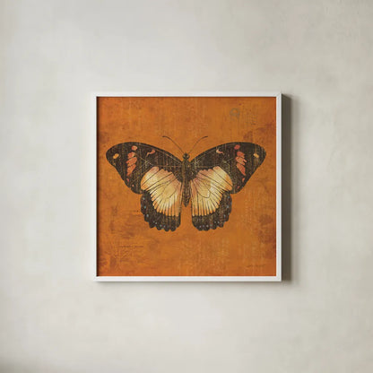 Apricot Butterfly by Katie Pertiet. Shown in a crisp white glass frame for a clean and minimalist style. Available as an archival giclee rolled canvas, fine art paper, or poster print. SKU 5954a.