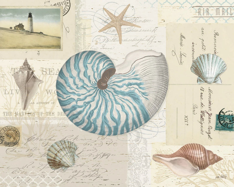 Beach Wonders I No Butterflies by Katie Pertiet