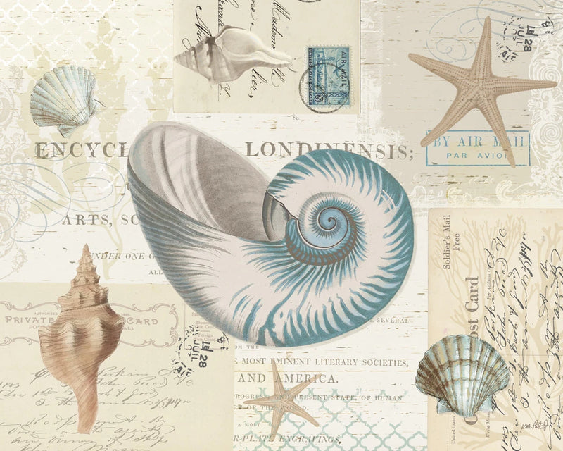 Beach Wonders II No Butterflies by Katie Pertiet