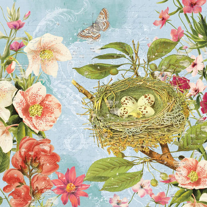 Bird Song II by Katie Pertiet. SKU 102128a. Archival Giclee Fine art print for wall decor.