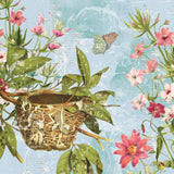Bird Song III by Katie Pertiet. SKU 102129a. Archival Giclee Fine art print for wall decor.
