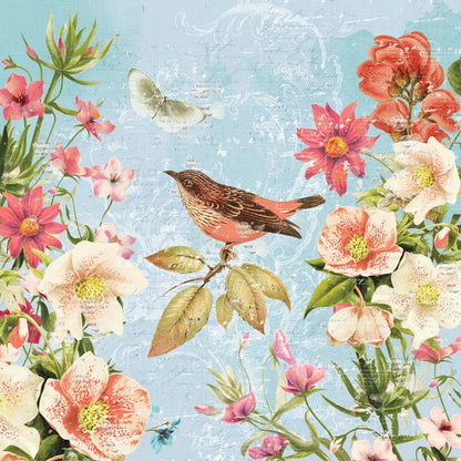 Bird Song IV by Katie Pertiet. SKU 102130a. Archival Giclee Fine art print for wall decor.