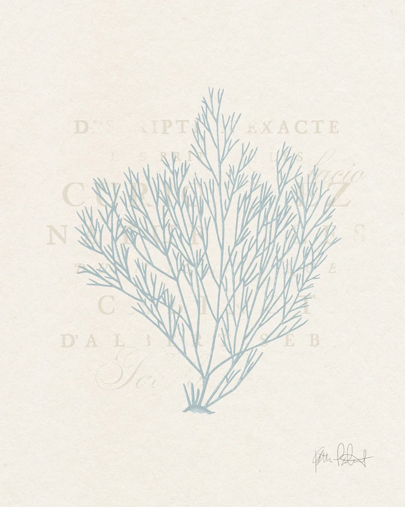 Blue Sea Garden II by Katie Pertiet