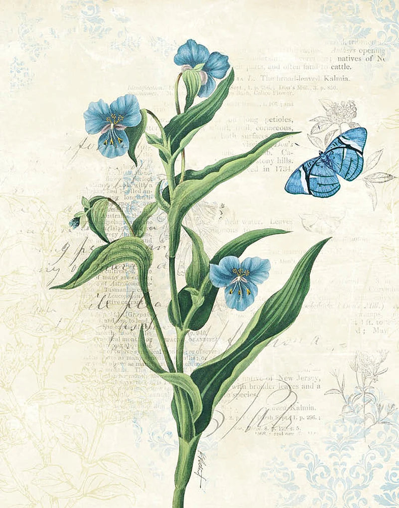 Booked Blue I Crop by Katie Pertiet