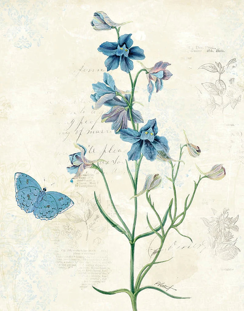 Booked Blue II Crop by Katie Pertiet
