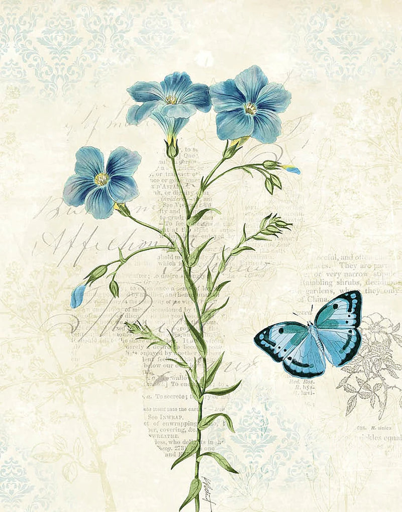 Booked Blue III Crop by Katie Pertiet