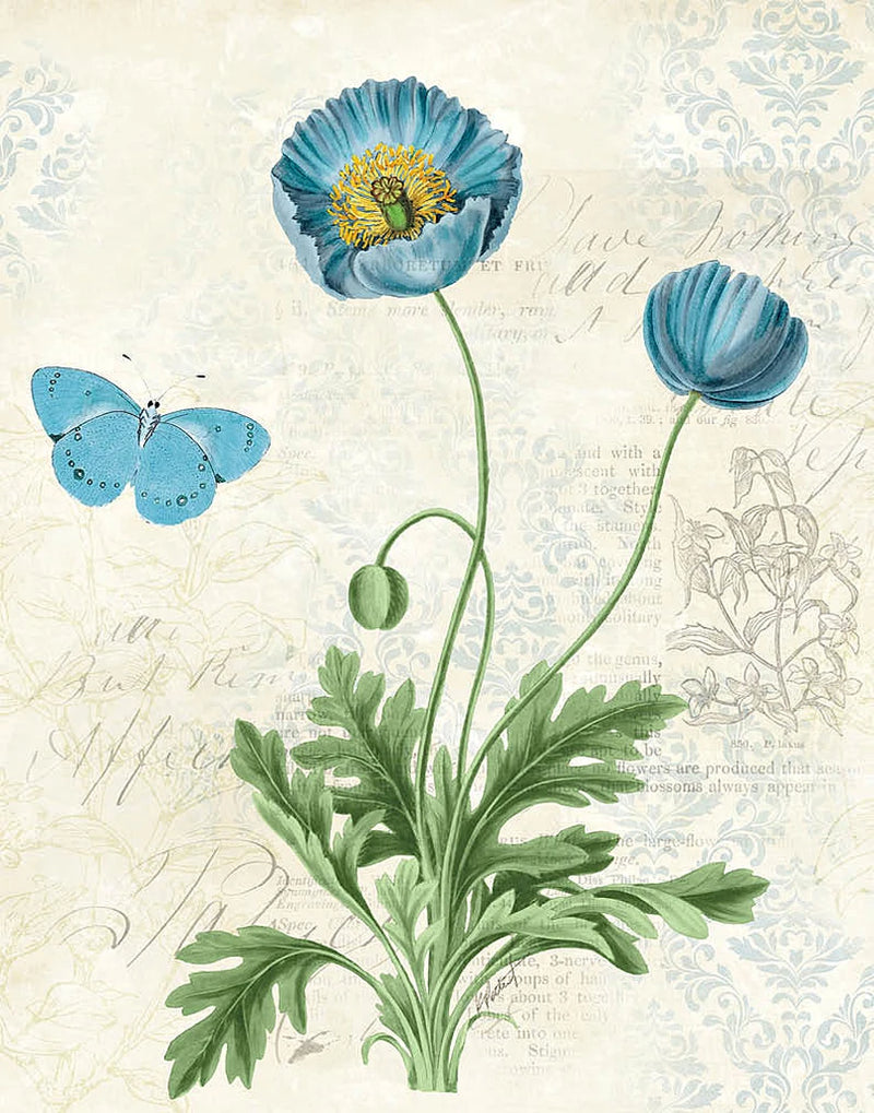 Booked Blue IV Crop by Katie Pertiet