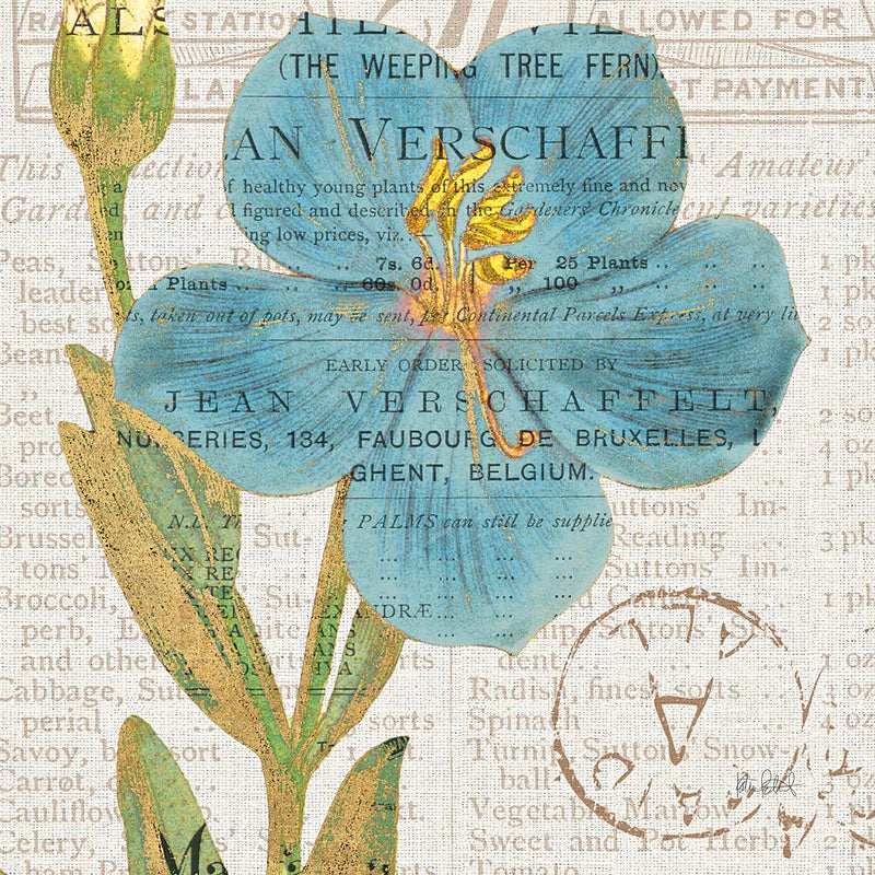Bookshelf Botanical VI by Katie Pertiet. SKU 29057a. Archival Giclee Fine art print for wall decor.