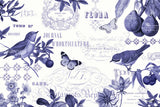 Botanical Blue I by Katie Pertiet. SKU 42172i. Archival Giclee Fine art print for wall decor.