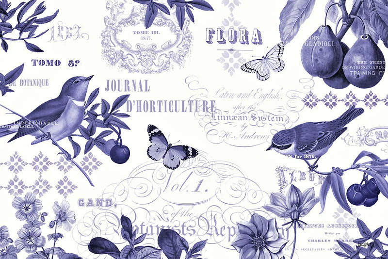 Botanical Blue I by Katie Pertiet. SKU 42172i. Archival Giclee Fine art print for wall decor.