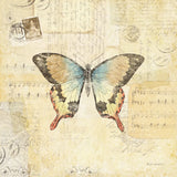 Butterfly Collage I by Katie Pertiet. SKU 5980a. Archival Giclee Fine art print for wall decor.