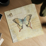 Butterfly Collage I by Katie Pertiet. Shown as a detailed flat fine art print, highlighting archival giclee quality. Available as an archival giclee rolled canvas, fine art paper, or poster print. SKU 5980a.