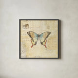 Butterfly Collage I by Katie Pertiet. Shown in a sleek black glass frame for a contemporary gallery look. Available as an archival giclee rolled canvas, fine art paper, or poster print. SKU 5980a.