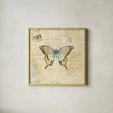 Butterfly Collage I by Katie Pertiet. Shown in a natural wood glass frame for a timeless modern aesthetic. Available as an archival giclee rolled canvas, fine art paper, or poster print. SKU 5980a.