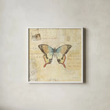Butterfly Collage I by Katie Pertiet. Shown in a crisp white glass frame for a clean and minimalist style. Available as an archival giclee rolled canvas, fine art paper, or poster print. SKU 5980a.