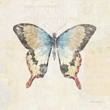 Butterfly Collage I Cream by Katie Pertiet. SKU 52784a. Archival Giclee Fine art print for wall decor.