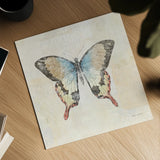 Butterfly Collage I Cream by Katie Pertiet. Shown as a detailed flat fine art print, highlighting archival giclee quality. Available as an archival giclee rolled canvas, fine art paper, or poster print. SKU 52784a.