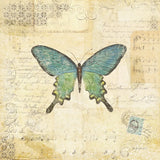 Butterfly Collage II by Katie Pertiet. SKU 5981a. Archival Giclee Fine art print for wall decor.