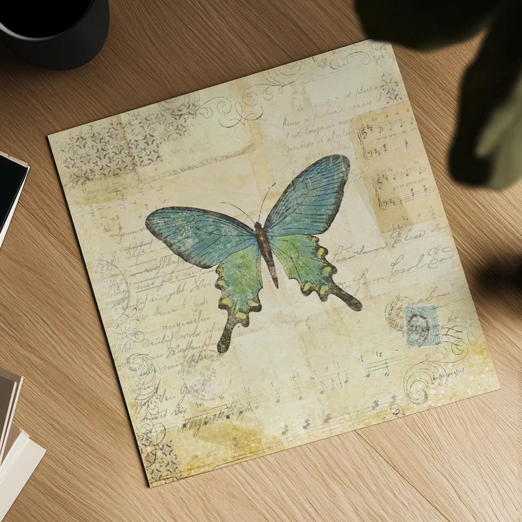 Butterfly Collage II by Katie Pertiet. Shown as a detailed flat fine art print, highlighting archival giclee quality. Available as an archival giclee rolled canvas, fine art paper, or poster print. SKU 5981a.