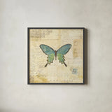Butterfly Collage II by Katie Pertiet. Shown in a sleek black glass frame for a contemporary gallery look. Available as an archival giclee rolled canvas, fine art paper, or poster print. SKU 5981a.