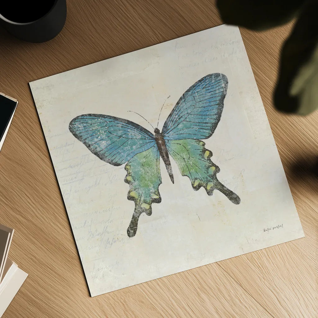 Butterfly Collage II Cream by Katie Pertiet. Shown as a detailed flat fine art print, highlighting archival giclee quality. Available as an archival giclee rolled canvas, fine art paper, or poster print. SKU 52785a.
