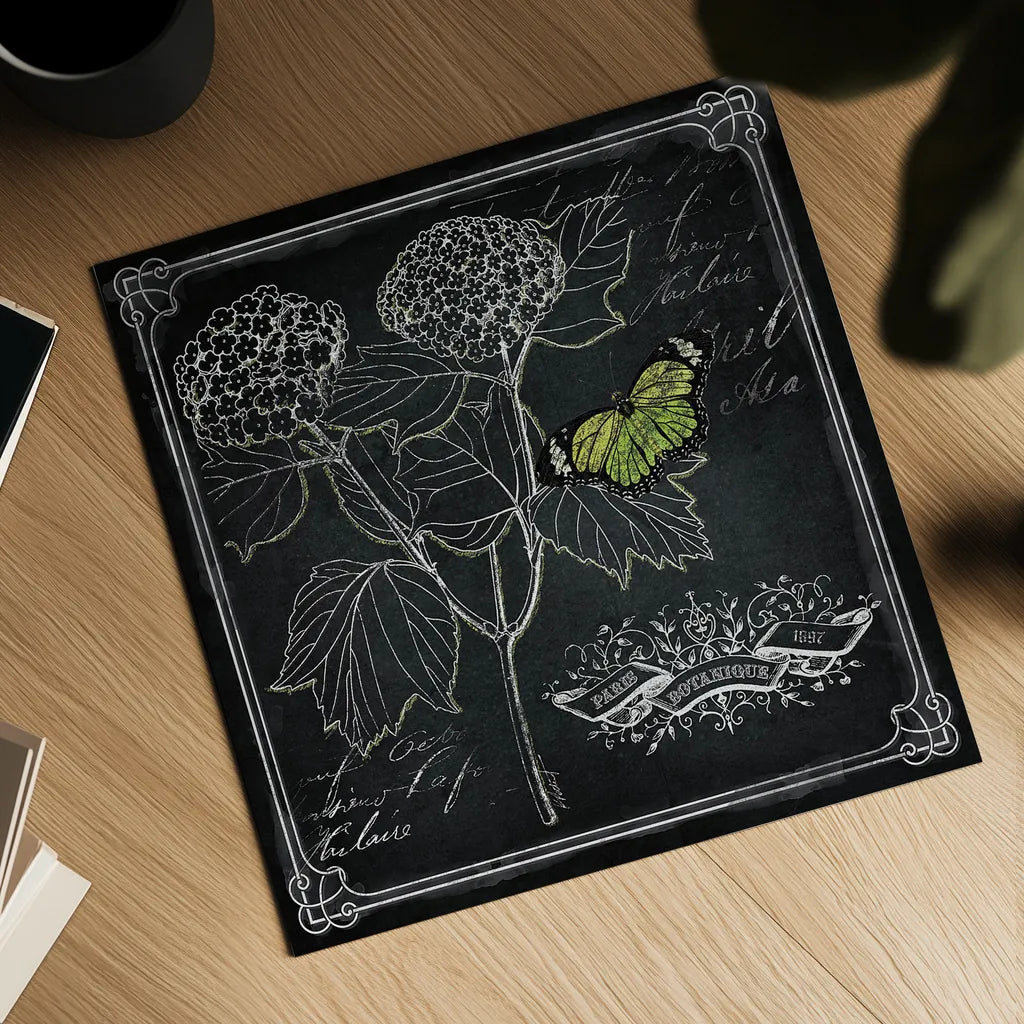 Chalkboard Botanical I by Katie Pertiet. Shown as a detailed flat fine art print, highlighting archival giclee quality. Available as an archival giclee rolled canvas, fine art paper, or poster print. SKU 14310a.