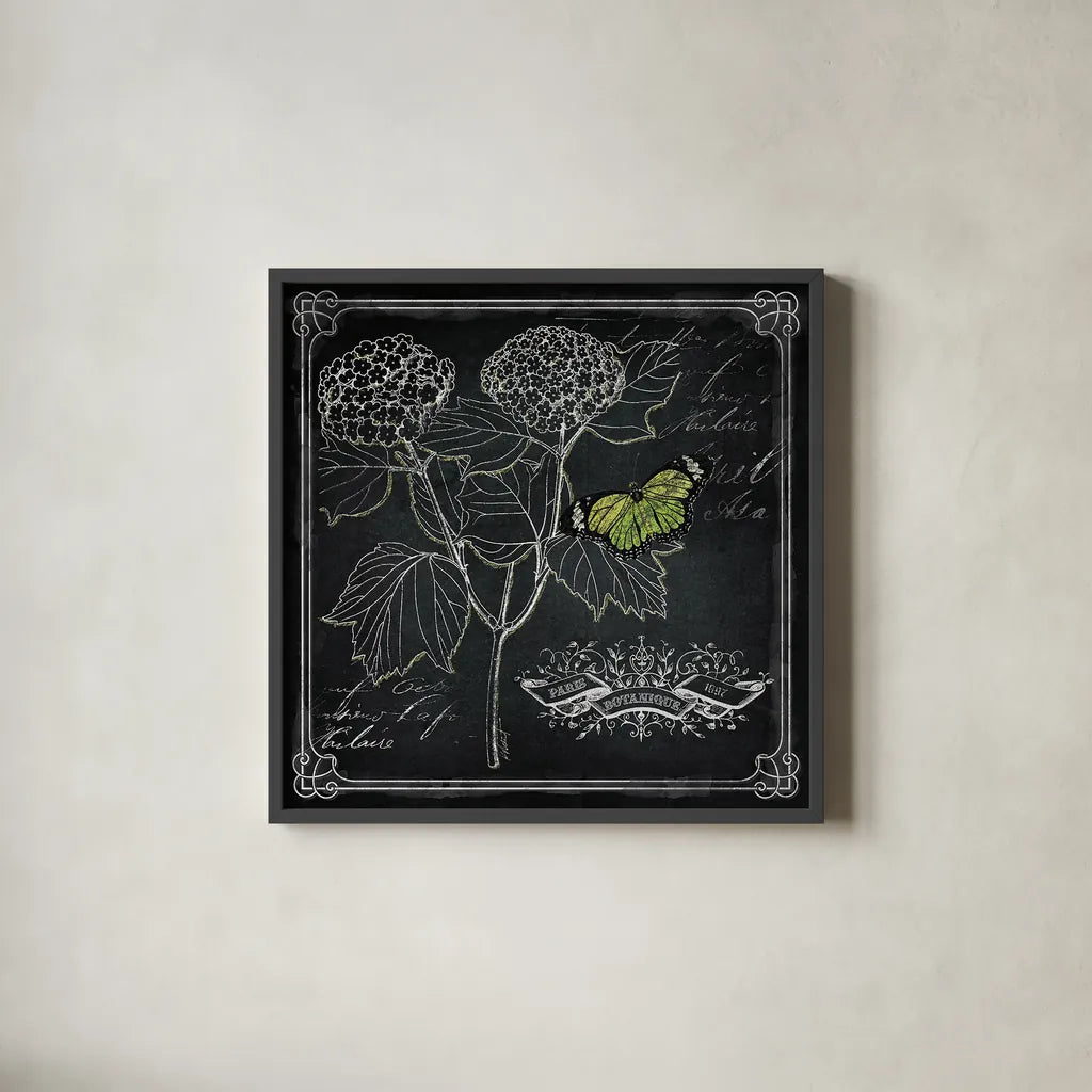 Chalkboard Botanical I by Katie Pertiet. Shown in a sleek black glass frame for a contemporary gallery look. Available as an archival giclee rolled canvas, fine art paper, or poster print. SKU 14310a.