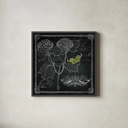 Chalkboard Botanical I by Katie Pertiet. Shown in a sleek black glass frame for a contemporary gallery look. Available as an archival giclee rolled canvas, fine art paper, or poster print. SKU 14310a.