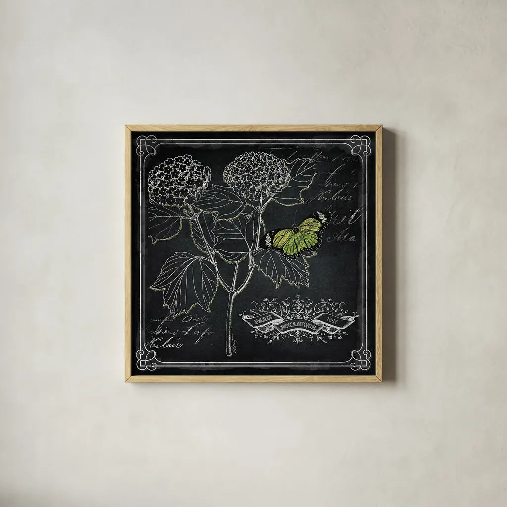 Chalkboard Botanical I by Katie Pertiet. Shown in a natural wood glass frame for a timeless modern aesthetic. Available as an archival giclee rolled canvas, fine art paper, or poster print. SKU 14310a.