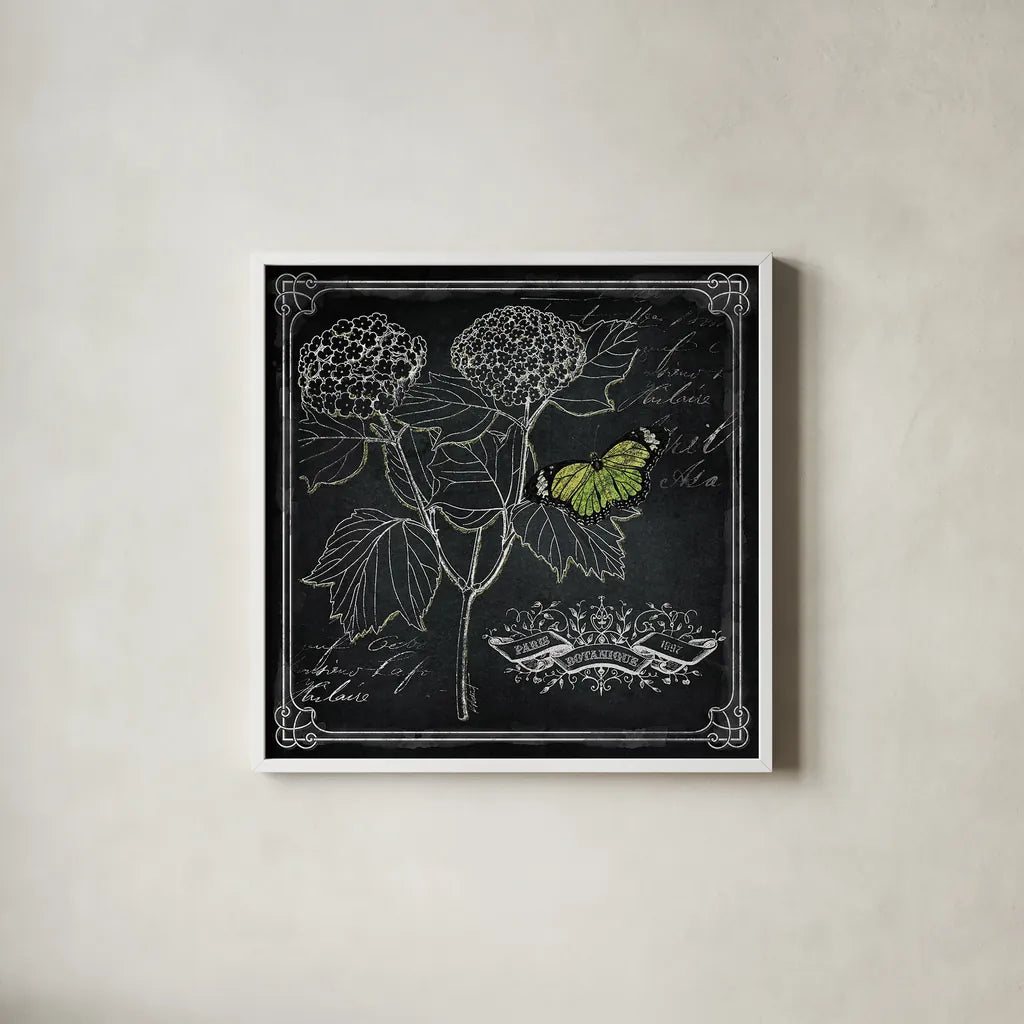 Chalkboard Botanical I by Katie Pertiet. Shown in a crisp white glass frame for a clean and minimalist style. Available as an archival giclee rolled canvas, fine art paper, or poster print. SKU 14310a.