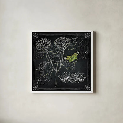Chalkboard Botanical I by Katie Pertiet. Shown in a crisp white glass frame for a clean and minimalist style. Available as an archival giclee rolled canvas, fine art paper, or poster print. SKU 14310a.