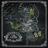 Chalkboard Botanical II 12x12 by Katie Pertiet. SKU 14311a. Archival Giclee Fine art print for wall decor.